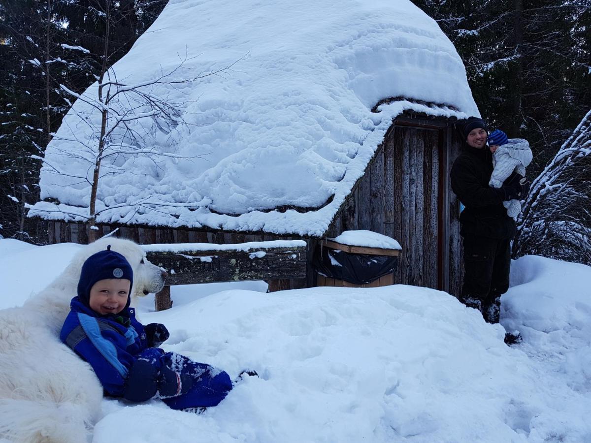 Tiiramoekki Villa Parikkala Eksteriør bilde